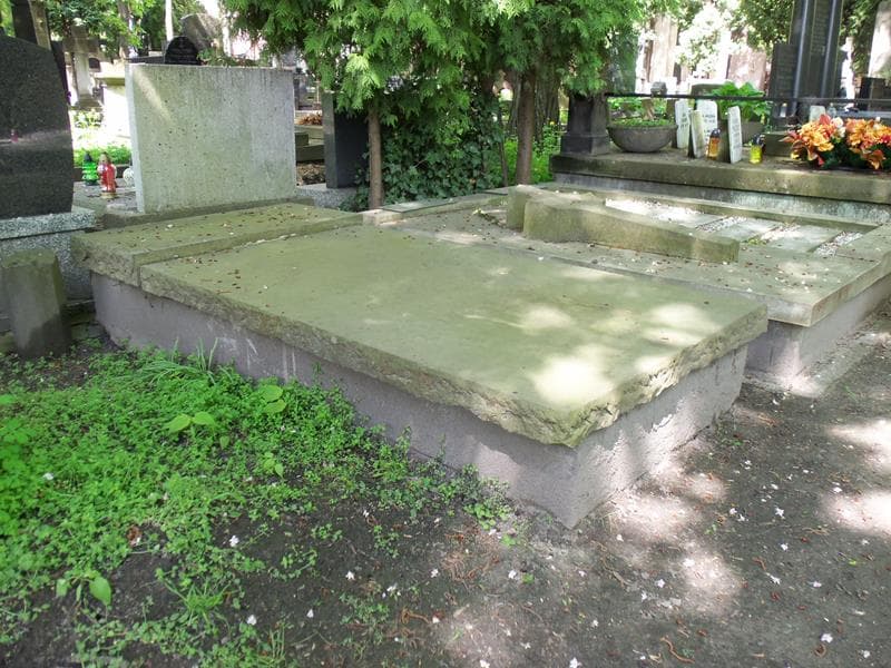 Zdjęcie grobu Emilia Dąbrowska (1)