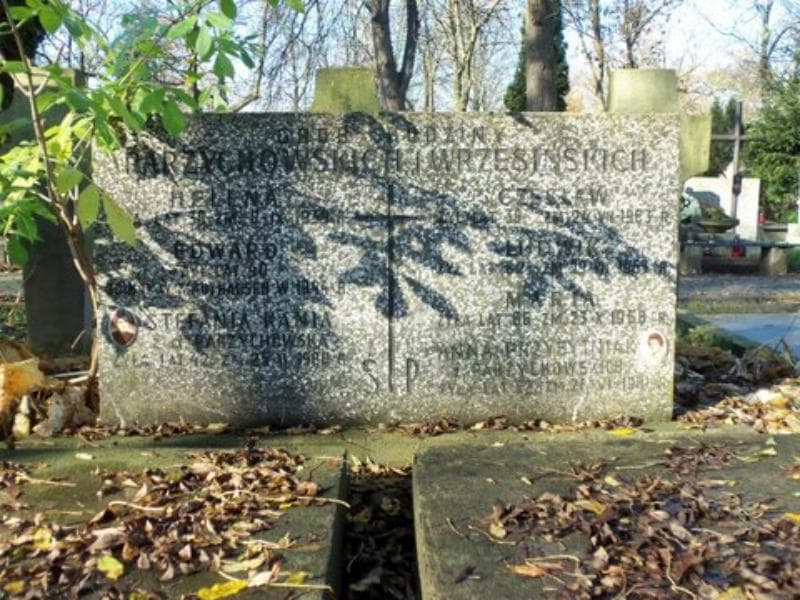 Zdjęcie grobu Czesław Wrzesiński (2)