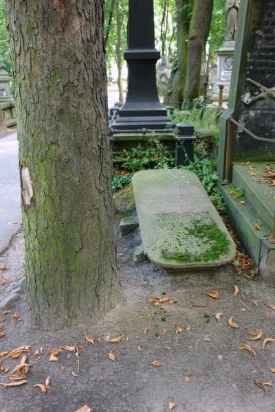 Zdjęcie grobu Andrzej Krzeczowski (1)