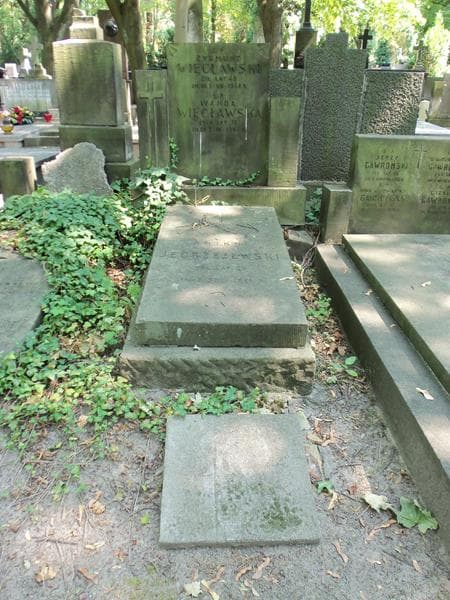 Zdjęcie grobu Antoni Jędrzejewski (1)