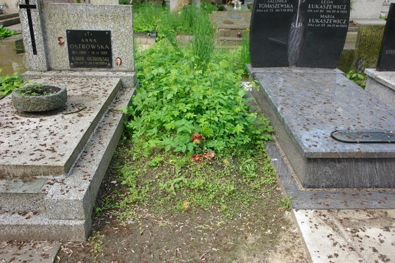 Zdjęcie grobu: Pole Grobowe
