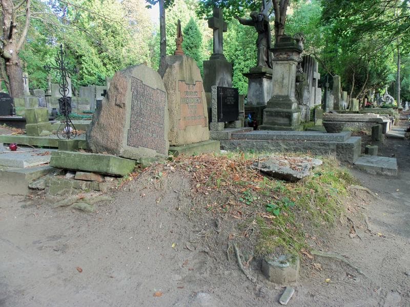 Zdjęcie grobu Bolesław Makowiecki (1)