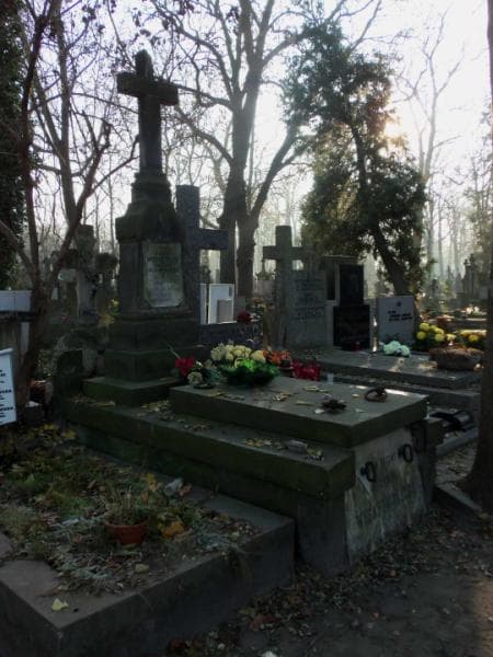 Zdjęcie grobu Tecia Wyganowska (1)