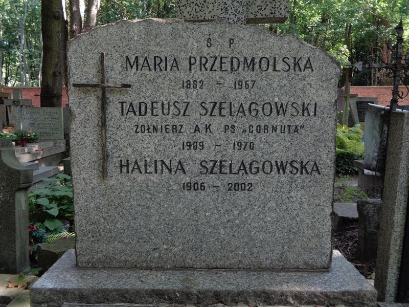 Zdjęcie grobu Tadeusz Szelągowski (2)