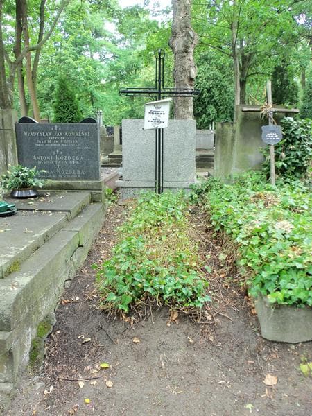 Zdjęcie grobu: Anna Brzózy