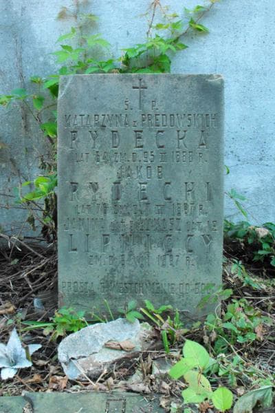 Zdjęcie grobu Kazimierz Nowicki (2)