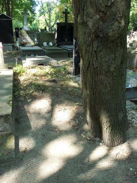 Zdjęcie grobu: Pole Grobowe