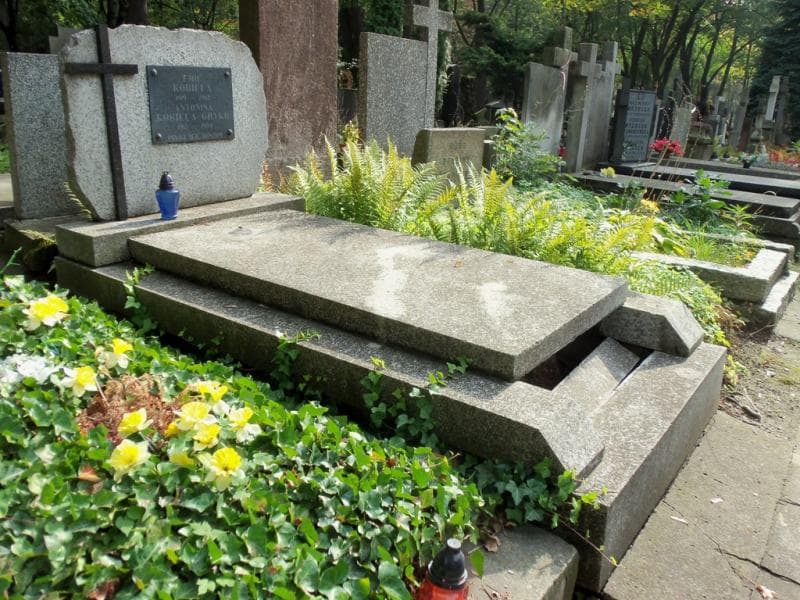Zdjęcie grobu Emil Kobiela (1)