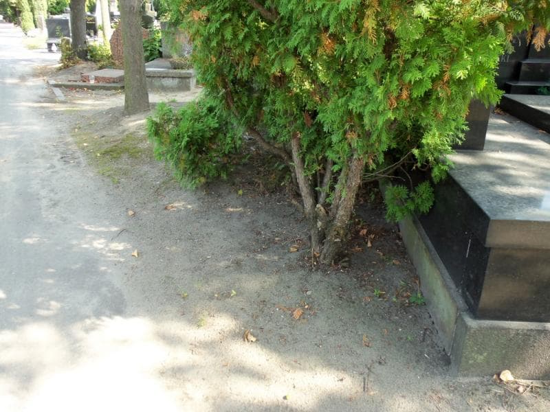 Zdjęcie grobu: Pole Grobowe
