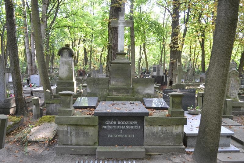Zdjęcie grobu Witold Maciejewski (1)