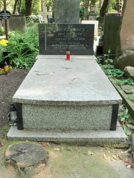 Zdjęcie grobu: Kalina Górska