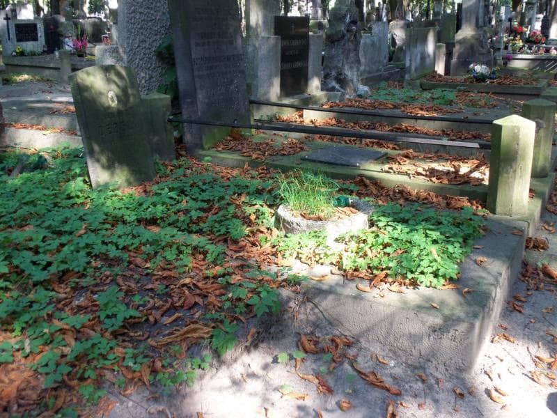 Zdjęcie grobu Kazimierz Dębski (1)