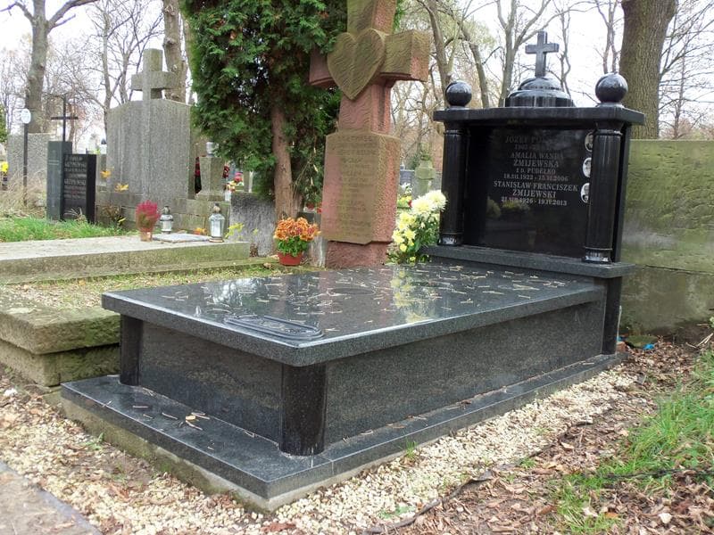 Zdjęcie grobu Stanisław Franciszek Żmijewski (1)