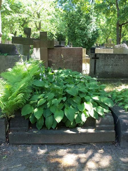 Zdjęcie grobu: Andrzejek Baczyński