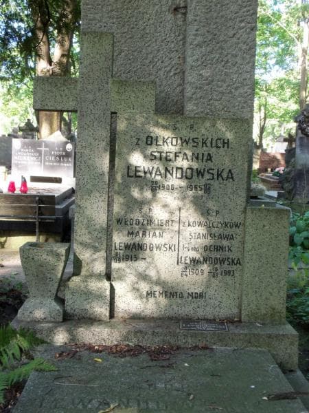 Zdjęcie grobu Stefania Lewandowska (2)