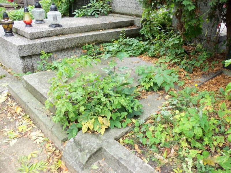 Zdjęcie grobu Hieronim Wacław Krzycki (1)