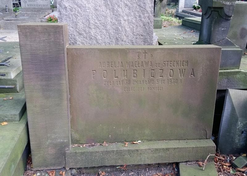 Zdjęcie grobu Aurelja Wacława Polubiczowa (2)