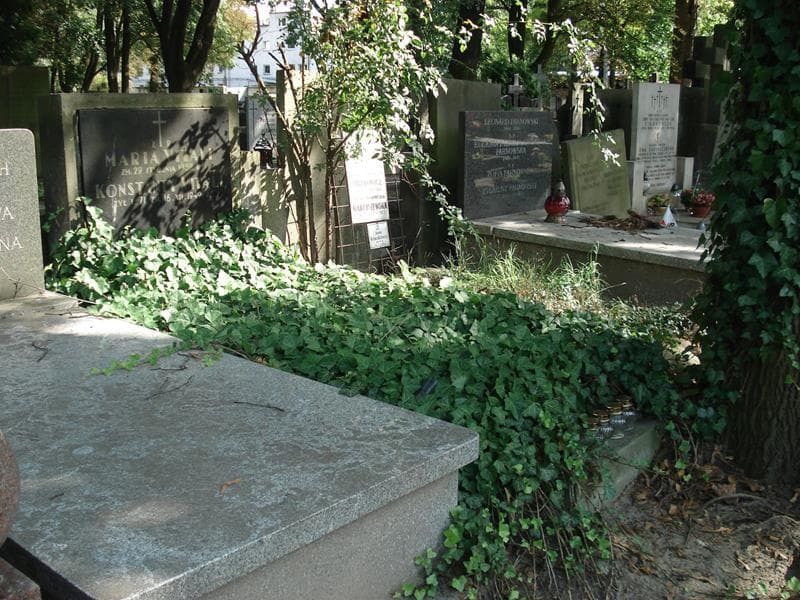 Zdjęcie grobu: Konstanty Vitali