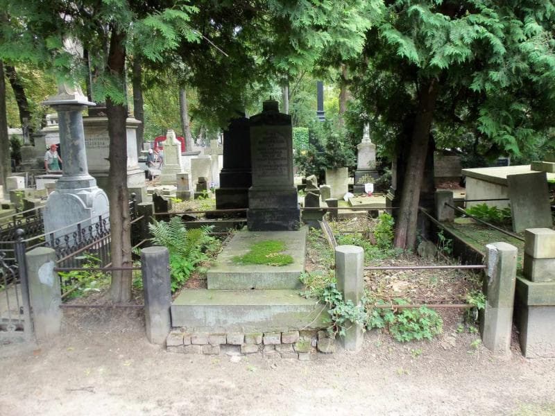 Zdjęcie grobu: Antoni Czekliński