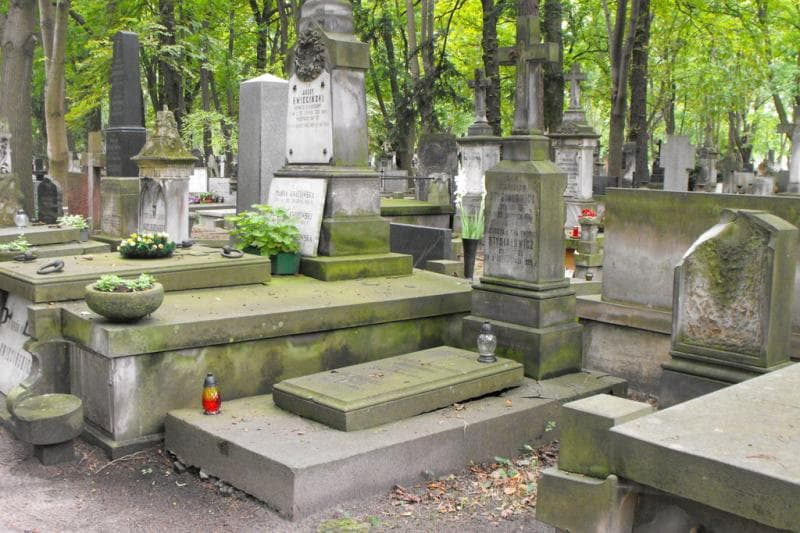 Zdjęcie grobu: Stefan Jankowski