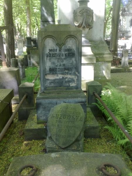 Zdjęcie grobu Juljanna Guzowska (2)