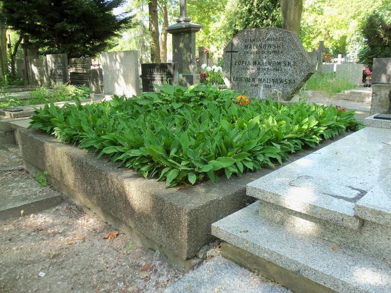 Zdjęcie grobu Zbigniew Malinowski (1)