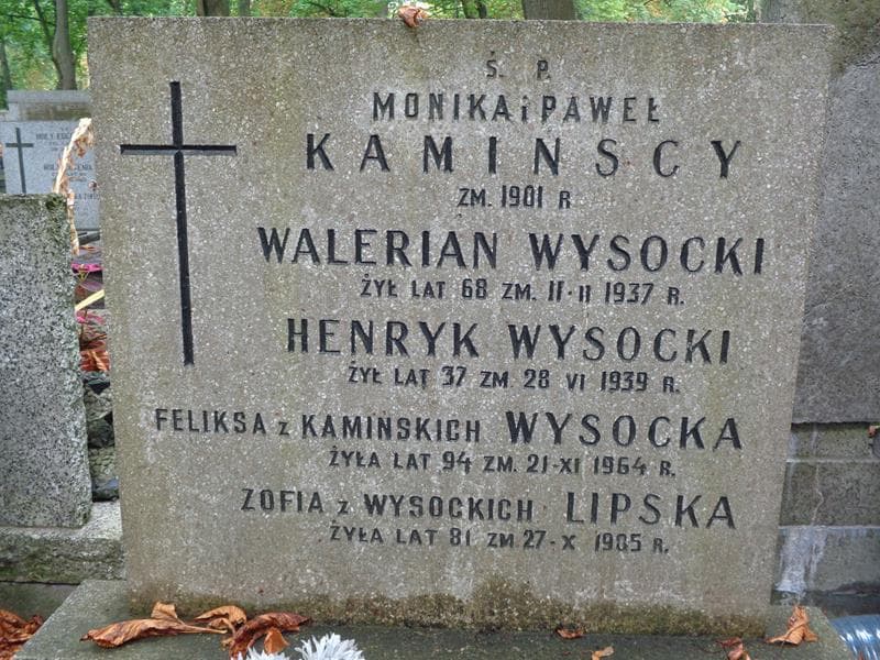 Zdjęcie grobu Henryk Wysocki (2)