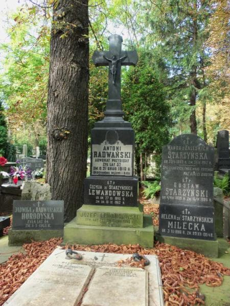 Zdjęcie grobu Józef Lewandowski (2)