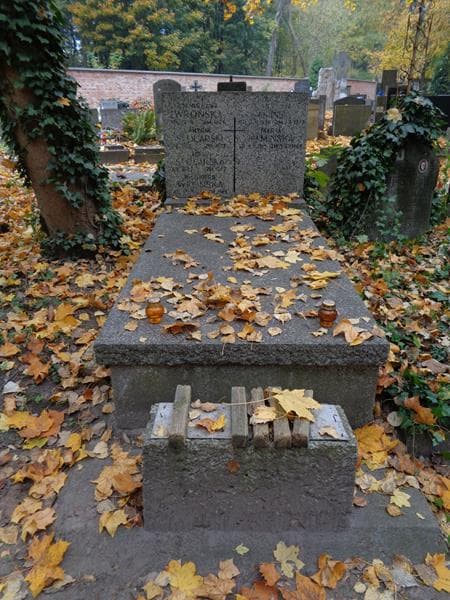 Zdjęcie grobu Antoni Stolarski (1)