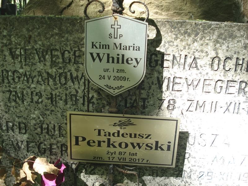 Zdjęcie grobu Anna Perkowska (2)