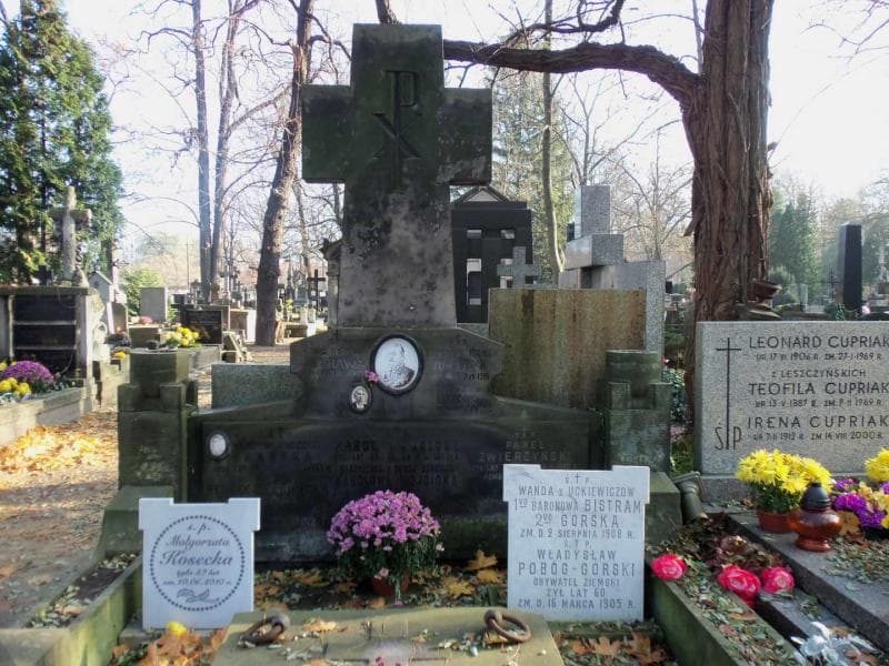 Zdjęcie grobu Władysław Pobóg-Górski (2)