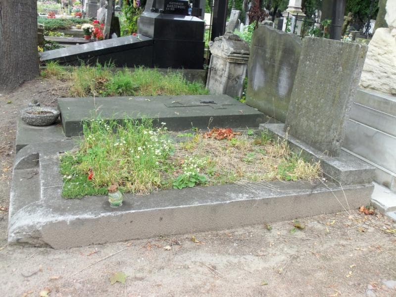 Zdjęcie grobu Feliks Brzeskwiński (1)