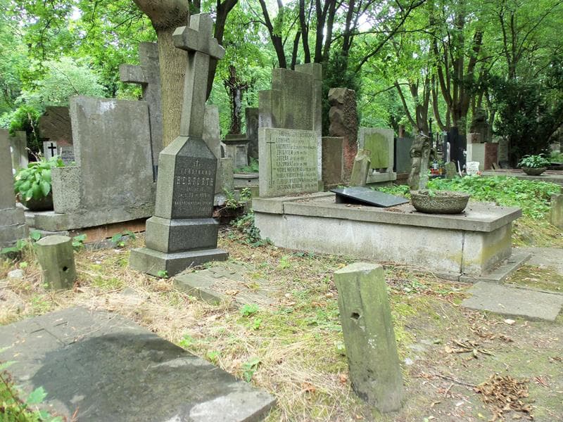 Zdjęcie grobu Ferdynand Herforth (1)