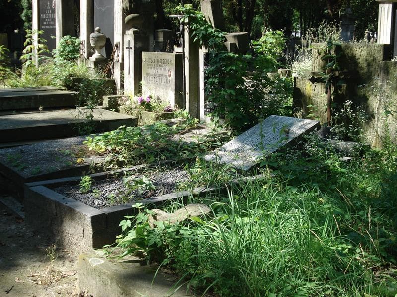 Zdjęcie grobu Bronisław Dzierożyński (1)