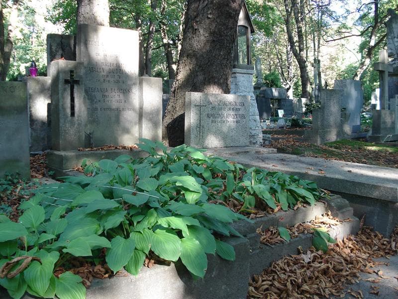 Zdjęcie grobu Czesław Dudziński (1)