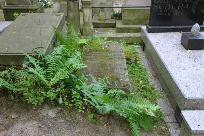 Zdjęcie grobu Józef Pieciński (1)