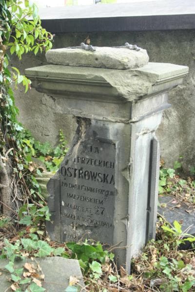 Zdjęcie grobu Ostrowska (1)