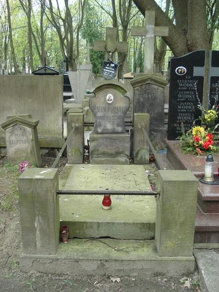 Zdjęcie grobu: Wojciech Ciarkowski