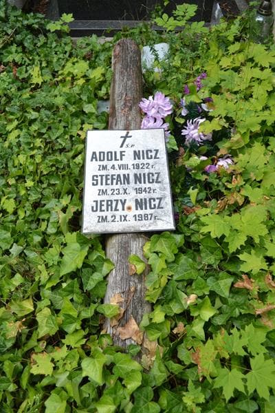 Zdjęcie grobu Pole Grobowe / Adolf Nicz (2)