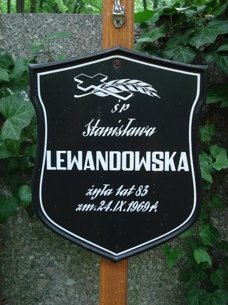 Zdjęcie grobu Stanisława Lewandowska (2)