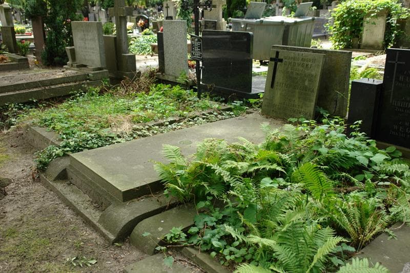 Zdjęcie grobu: Regina Dmowska