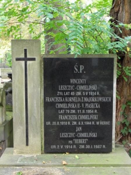 Zdjęcie grobu Bronisława Chmielińska (2)