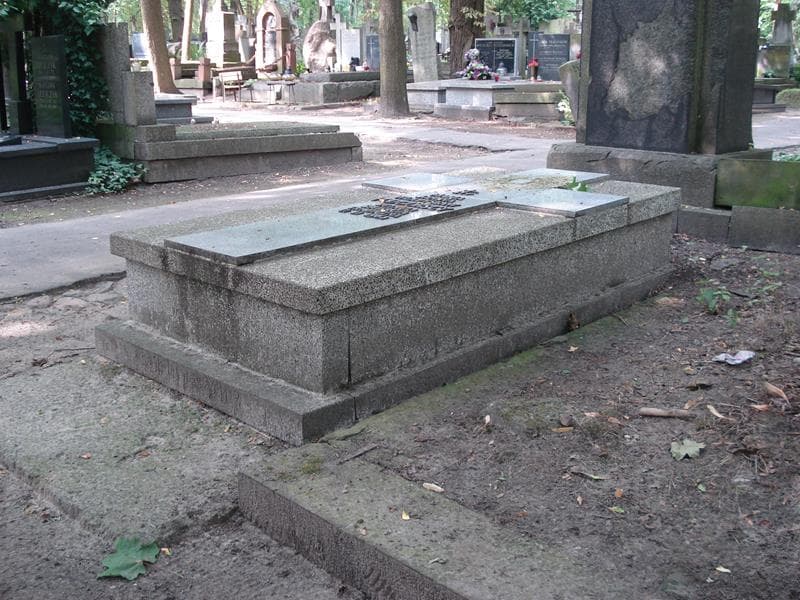 Zdjęcie grobu Władysław Podgórski (2)