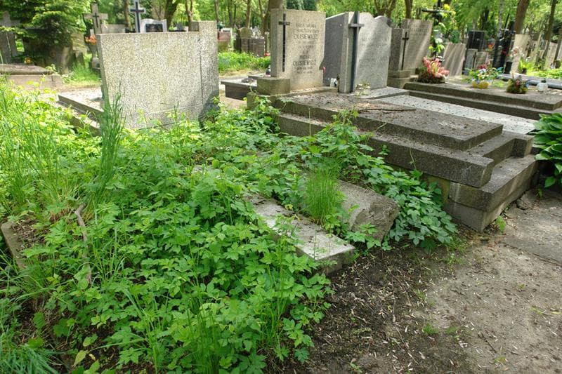 Zdjęcie grobu Pole Grobowe (1)