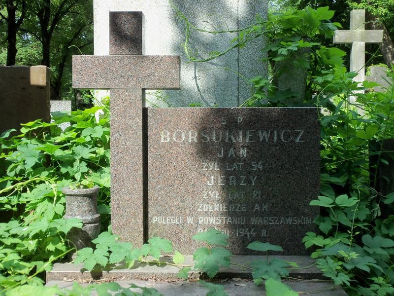 Zdjęcie grobu Zygmunt Jaźwiński (2)