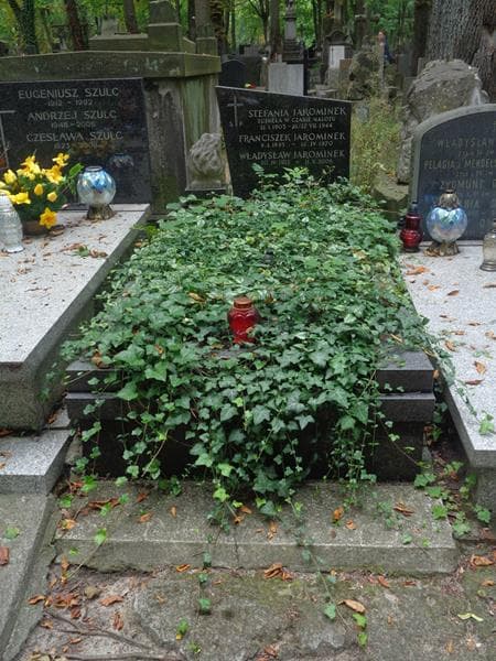 Zdjęcie grobu Franciszek Jarominek (1)