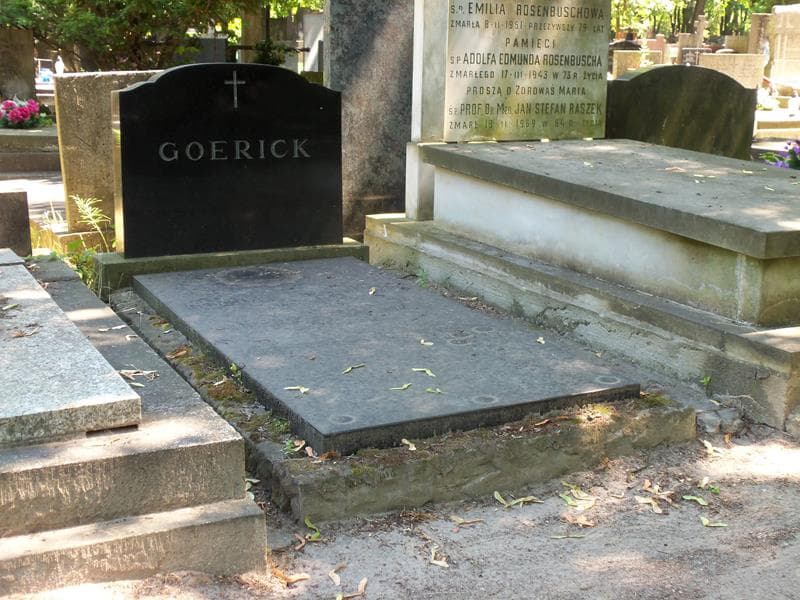 Zdjęcie grobu Jerzy Tyski (1)