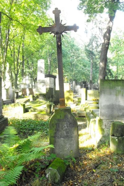 Zdjęcie grobu Marja Dybalska (1)
