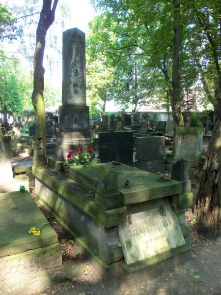 Zdjęcie grobu Henryka  Marja Siemieńska (1)