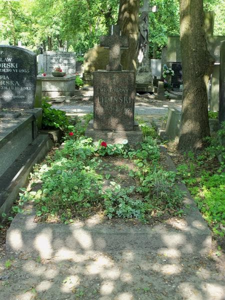 Zdjęcie grobu: Władysław Lipiński